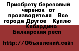 Приобрету березовый черенок  от производителя - Все города Другое » Куплю   . Кабардино-Балкарская респ.